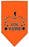 Load image into Gallery viewer, Pet and Dog Bandana Screen Printed, "Little Wizard"
