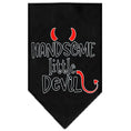 Load image into Gallery viewer, Pet and Dog Bandana Screen Printed, "Handsome Little Devil"
