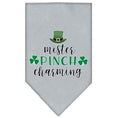 Load image into Gallery viewer, Pet and Dog Bandana Screen Printed, "Mr. Pinch Charming"
