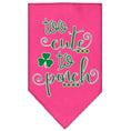 Load image into Gallery viewer, Pet and Dog Bandana Screen Printed, "Too Cute To Pinch"
