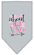 Load image into Gallery viewer, Pet and Dog Bandana Screen Printed, "It's All About That XOXO"
