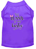 Load image into Gallery viewer, Pet Dog & Cat Shirt Screen Printed, "The Bunny Is My Bestie"
