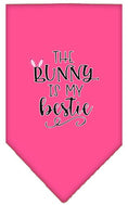 Load image into Gallery viewer, Pet and Dog Bandana Screen Printed, "The Bunny Is My Bestie"
