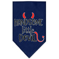 Load image into Gallery viewer, Pet and Dog Bandana Screen Printed, "Handsome Little Devil"
