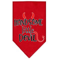 Load image into Gallery viewer, Pet and Dog Bandana Screen Printed, "Handsome Little Devil"
