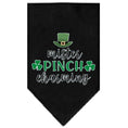 Load image into Gallery viewer, Pet and Dog Bandana Screen Printed, "Mr. Pinch Charming"
