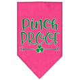 Load image into Gallery viewer, Pet and Dog Bandana Screen Printed, "Pinch Proof"
