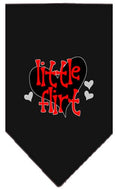 Load image into Gallery viewer, Pet and Dog Bandana Screen Printed, "Little Flirt"
