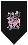 Load image into Gallery viewer, Pet and Dog Bandana Screen Printed, "It's All About That XOXO"

