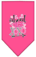 Load image into Gallery viewer, Pet and Dog Bandana Screen Printed, "It's All About That XOXO"
