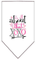 Load image into Gallery viewer, Pet and Dog Bandana Screen Printed, "It's All About That XOXO"
