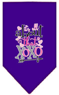 Load image into Gallery viewer, Pet and Dog Bandana Screen Printed, "It's All About That XOXO"
