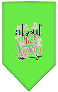 Load image into Gallery viewer, Pet and Dog Bandana Screen Printed, "It's All About That XOXO"
