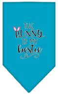 Load image into Gallery viewer, Pet and Dog Bandana Screen Printed, "The Bunny Is My Bestie"

