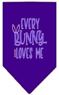 Load image into Gallery viewer, Pet and Dog Bandana Screen Printed, "Every Bunny Loves Me"
