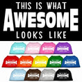 Load image into Gallery viewer, Pet Dog & Cat Shirt Screen Printed, "This Is What Awesome Looks Like"
