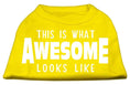 Load image into Gallery viewer, Pet Dog & Cat Shirt Screen Printed, "This Is What Awesome Looks Like"
