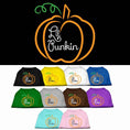 Load image into Gallery viewer, Halloween Pet Dog & Cat Shirt Screen Printed, "Lil Punkin"
