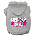 Load image into Gallery viewer, Pet Hoodie "Birthday Girl"
