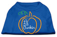 Load image into Gallery viewer, Halloween Pet Dog & Cat Shirt Screen Printed, "Lil Punkin"
