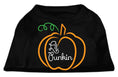 Load image into Gallery viewer, Halloween Pet Dog & Cat Shirt Screen Printed, "Lil Punkin"
