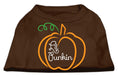 Load image into Gallery viewer, Halloween Pet Dog & Cat Shirt Screen Printed, "Lil Punkin"
