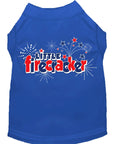 Load image into Gallery viewer, Pet Dog & Cat Shirt Screen Printed, "Little Firecracker"
