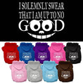 Load image into Gallery viewer, Pet Hoodie "I Solemnly Swear That I Am Up To No Good"
