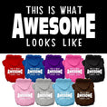 Load image into Gallery viewer, Pet Hoodie "This Is What Awesome Looks Like"
