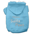 Load image into Gallery viewer, Christmas Pet Hoodie Screen Printed, "I Believe In Santa Paws"
