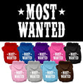 Load image into Gallery viewer, Pet Hoodie "Most Wanted"
