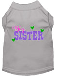 Load image into Gallery viewer, Pet Shirt "Big Sister"
