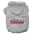 Load image into Gallery viewer, Pet Hoodie "Little Firecracker"
