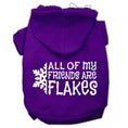 Load image into Gallery viewer, Christmas Pet Hoodie "All Of My Friends Are Flakes"

