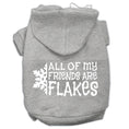 Load image into Gallery viewer, Christmas Pet Hoodie "All Of My Friends Are Flakes"
