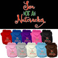 Load image into Gallery viewer, Christmas Pet Hoodie Screen Printed, "Son Of A Nutcracker"
