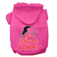 Load image into Gallery viewer, Christmas Pet Hoodie Screen Printed, "You Serious Clark?"
