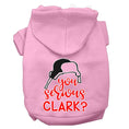 Load image into Gallery viewer, Christmas Pet Hoodie Screen Printed, "You Serious Clark?"
