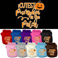 Load image into Gallery viewer, Halloween Pet Hoodie "Cutest Pumpkin In The Patch"
