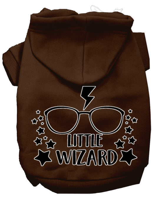 Pet Hoodie "Little Wizard"