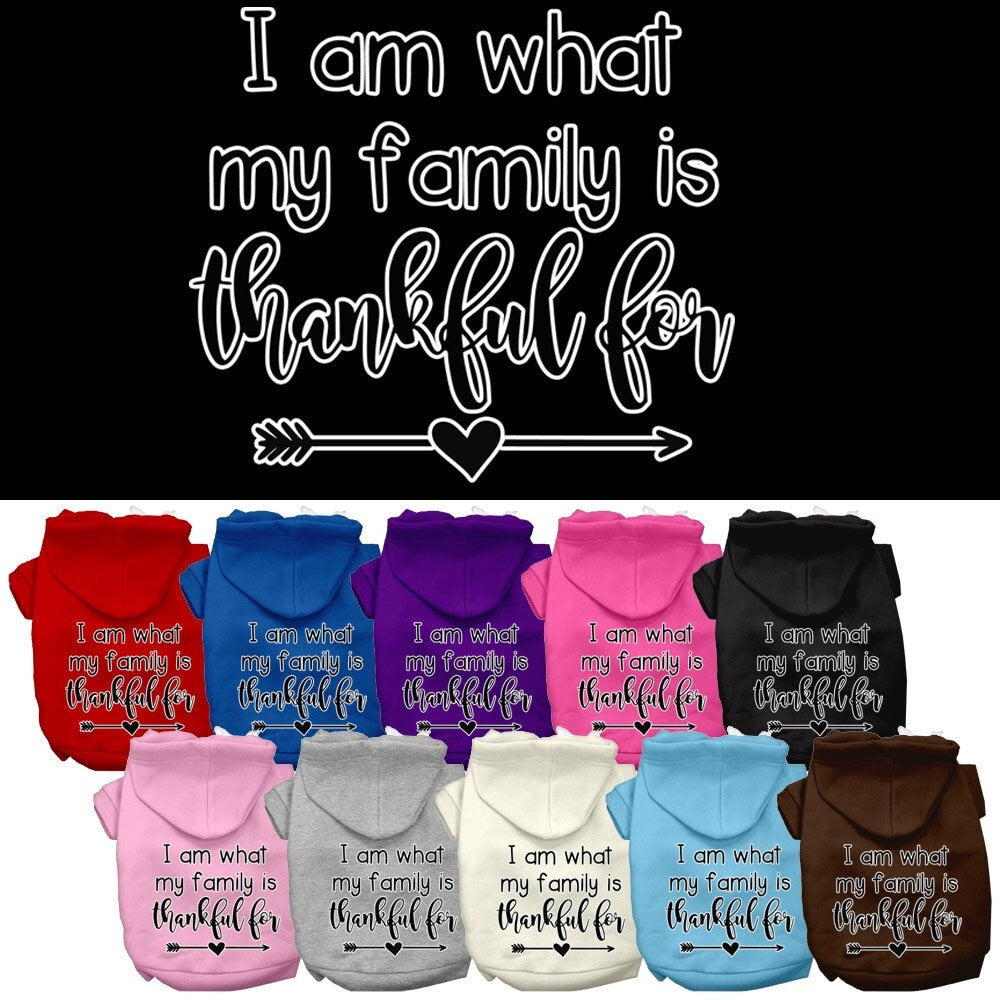 Thanksgiving Pet Hoodie "What My Family Is Thankful For"