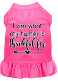 Load image into Gallery viewer, Pet Dress "I Am What My Family Is Thankful For"
