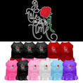 Load image into Gallery viewer, Pet Dress Screen Printed, "Timeless Tale"
