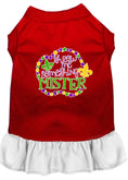 Load image into Gallery viewer, Pet Dress "Throw Me Something Mister"
