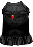 Load image into Gallery viewer, Pet Dress "Current Family Favorite"
