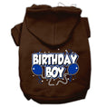 Load image into Gallery viewer, Pet, Dog & Cat Hoodie Screen Printed, "Birthday Boy"
