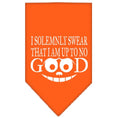 Load image into Gallery viewer, Pet and Dog Bandana, "I Solemnly Swear That I Am Up To No Good"

