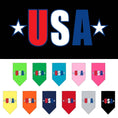 Load image into Gallery viewer, Pet and Dog Bandana Screen Printed, "USA Star"
