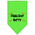 Load image into Gallery viewer, Halloween Pet and Dog Bandana Screen Printed, "Feeling Batty"
