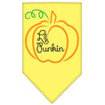 Load image into Gallery viewer, Halloween Pet and Dog Bandana Screen Printed, "Lil Punkin"
